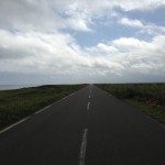 鹿としゃべった