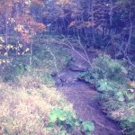 世界唯一の生きたマンガン鉱床を目指せ