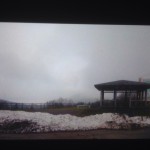 ヒグマとの遭遇