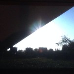 サバイバーから見た札幌市