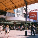 月下のサバイバー